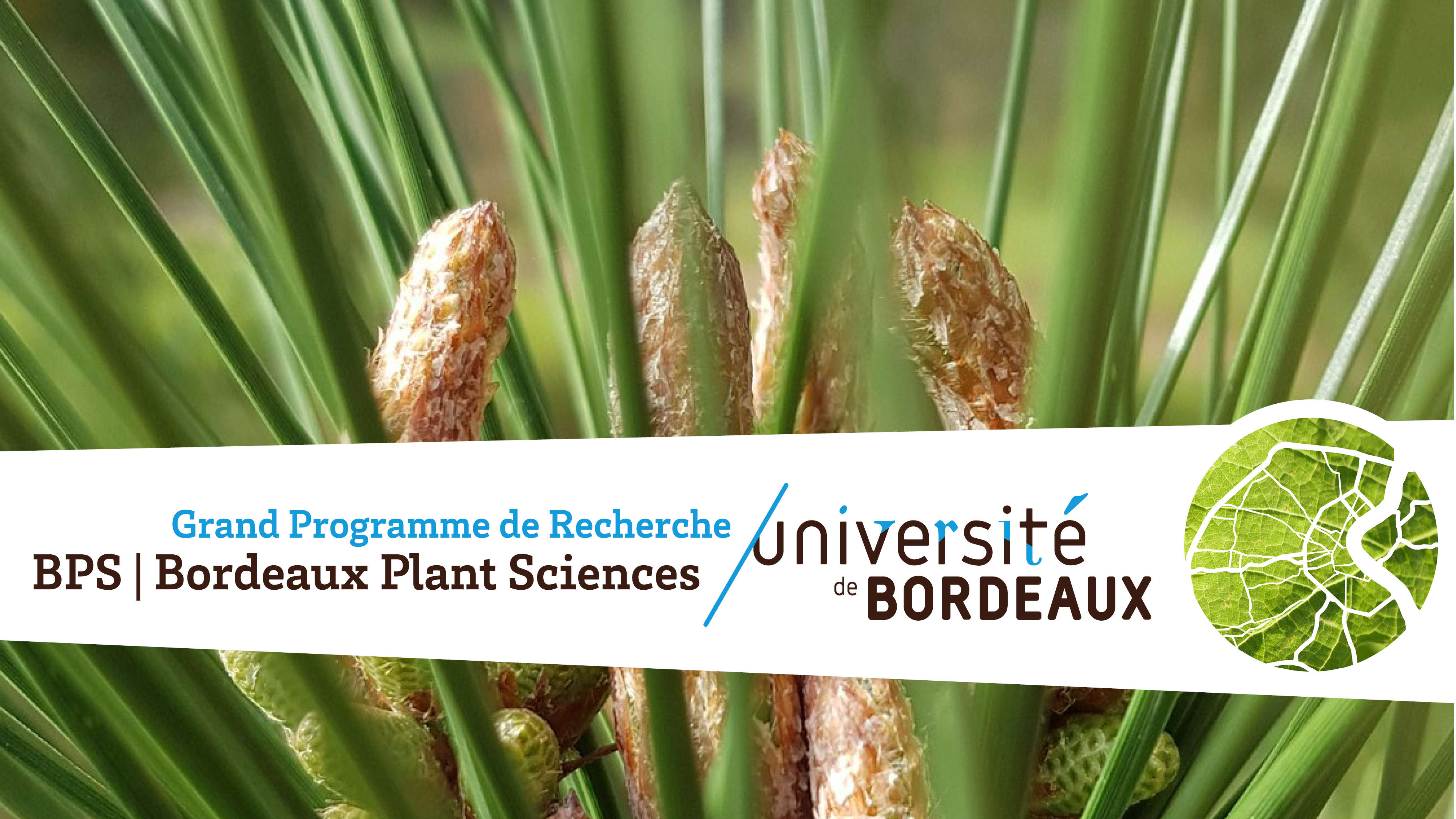 GPR - Bordeaux Plant Sciences